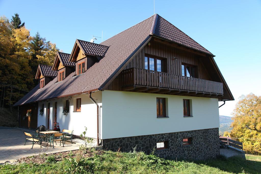 Hotel Koenig-In Hojsova Stráž Exterior foto