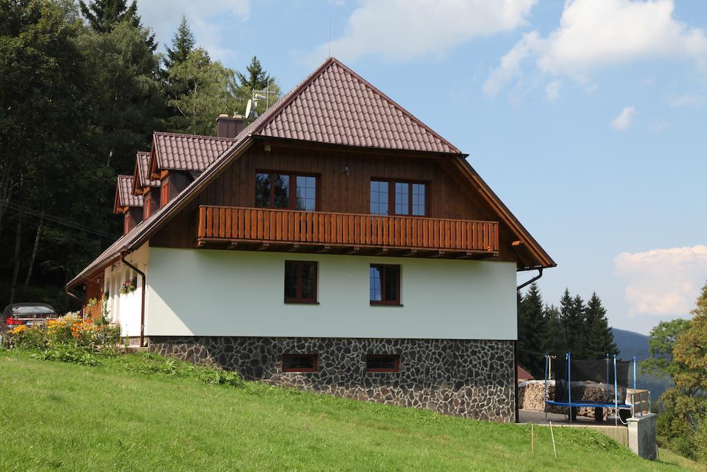 Hotel Koenig-In Hojsova Stráž Exterior foto